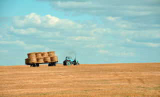 Farm exemption